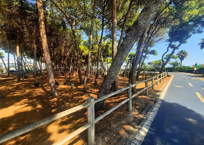 Alba Rosa Pt2 - Myho Casa Apartman *