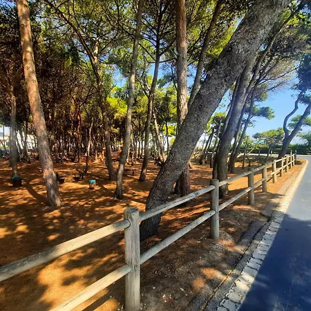 Alba Rosa Pt2 - Myho Casa Διαμέρισμα *