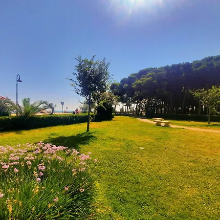 Alba Rosa Pt2 - Myho Casa